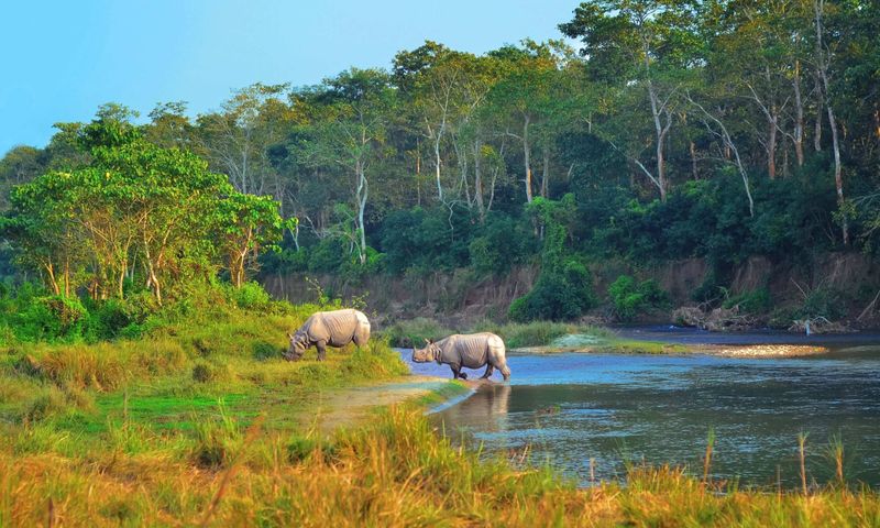 Chitwan National Park, Nepal