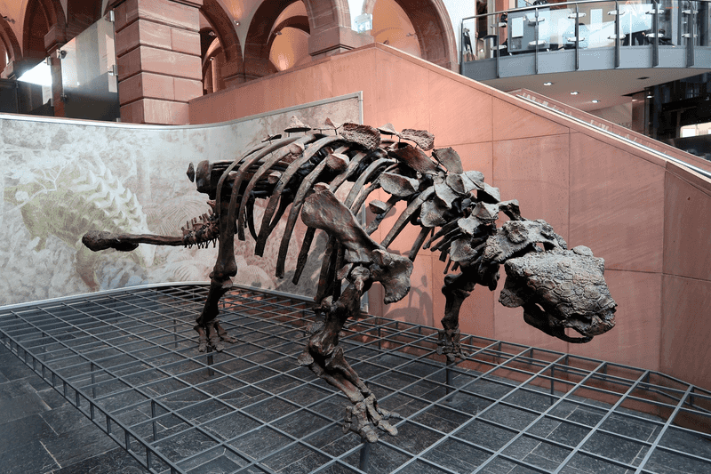 Dinosaur CSI: Revealing Ancient Injuries