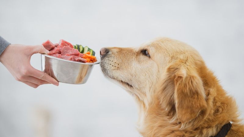 Raw Food Carries Risks