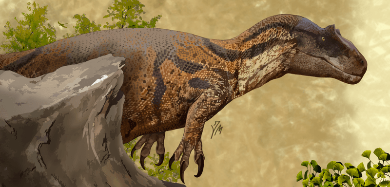 Allosaurus: The Lion of the Jurassic
