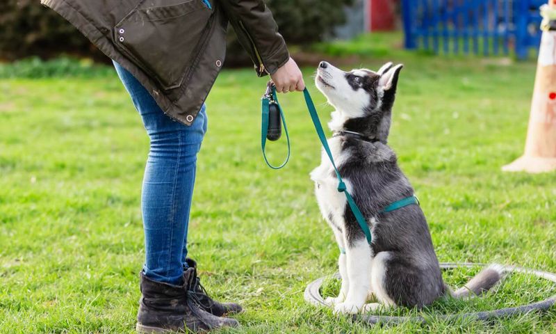 Finding The Right Professional Help