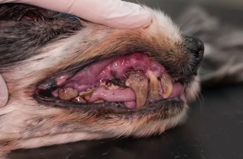 Warning Signs That Dental Problems Are Brewing