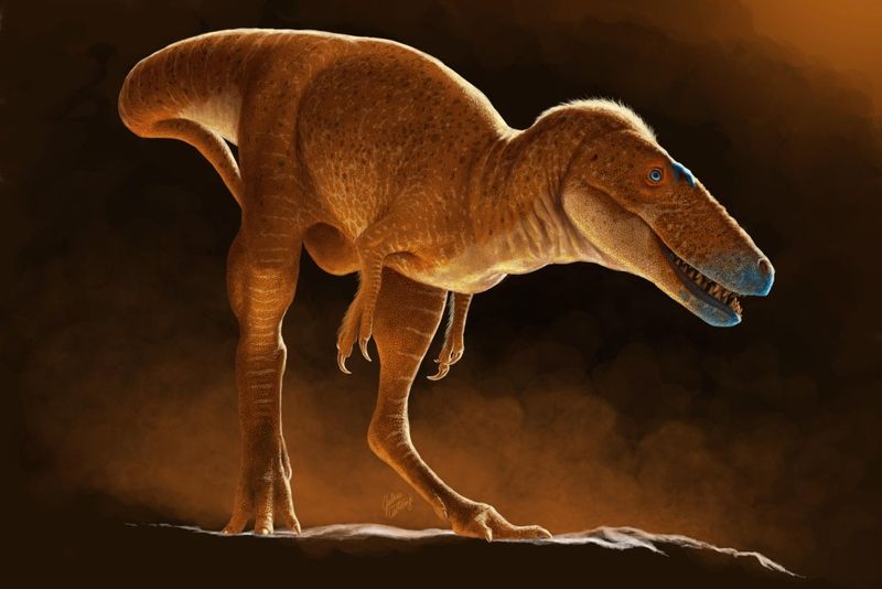 Fresh Evidence Rekindles Debate Over Where T. Rex Came From