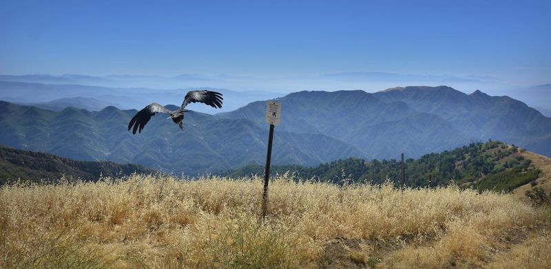 Hopper Mountain National Wildlife Refuge, California