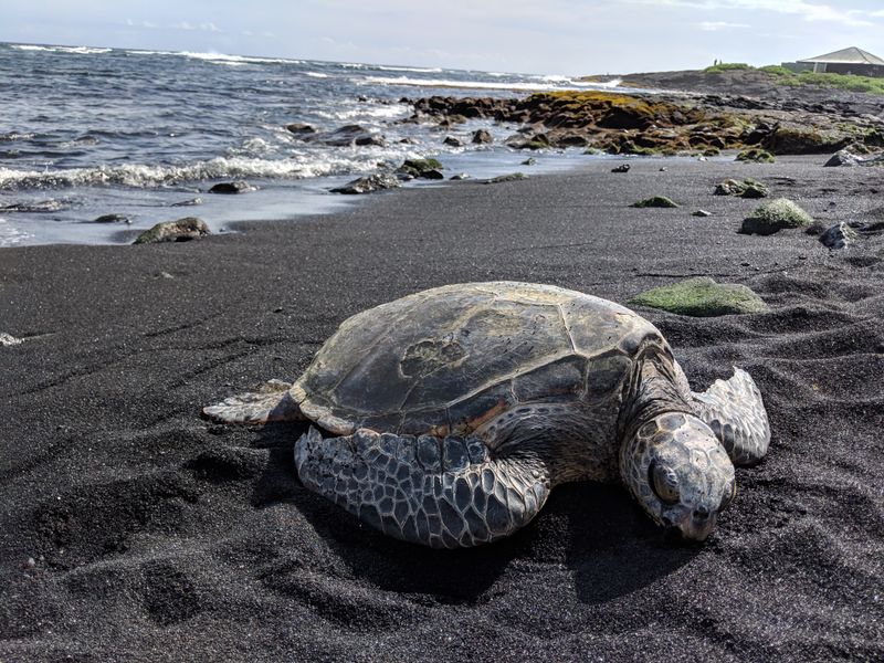 Hawaii