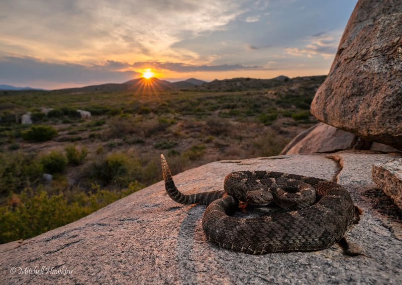 New Mexico