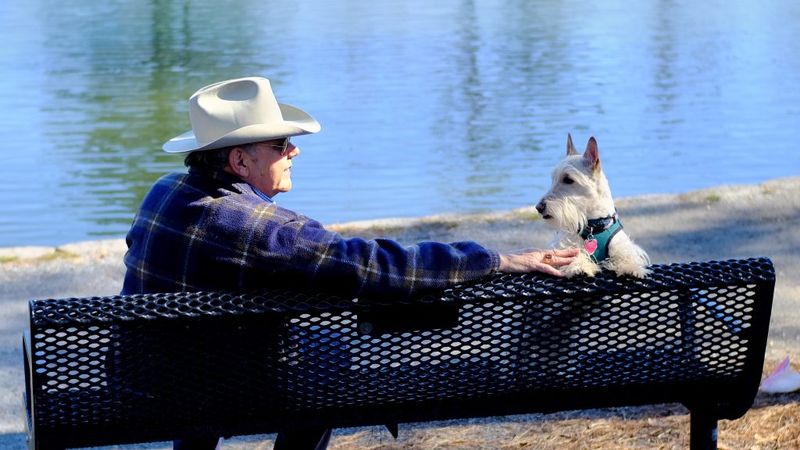 Florida's Furry Support System