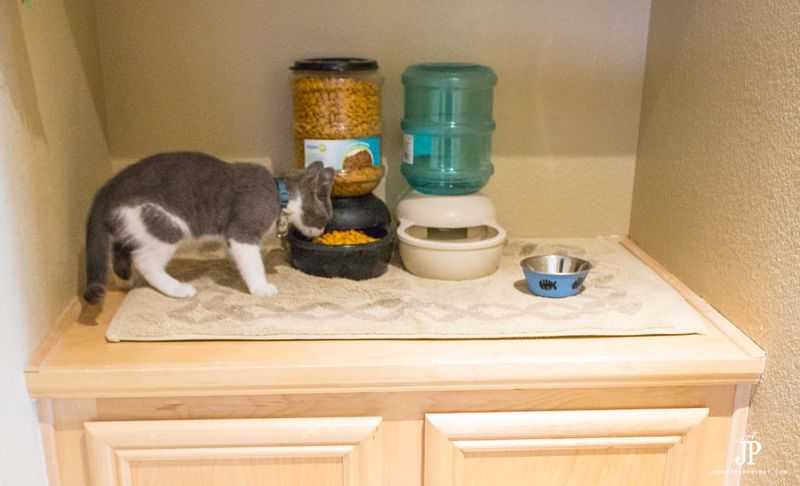 Create Enticing Food Stations