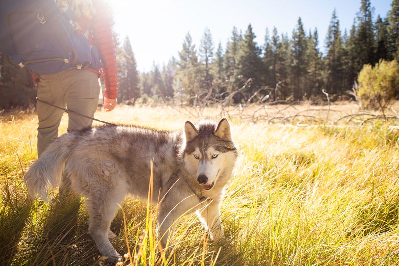 Outdoor Adventure Partners