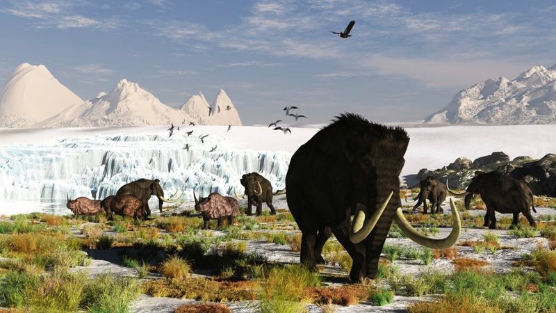 The Younger Dryas Impact Hypothesis