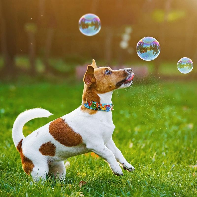 Chasing Bubbles