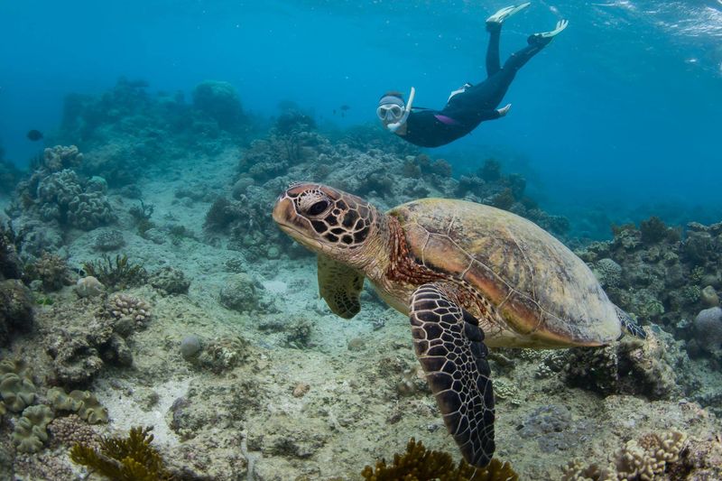 Support Conservation Programs