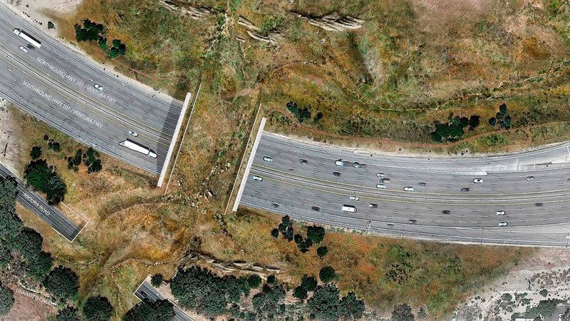 Roads And Railways Fragment Their Range