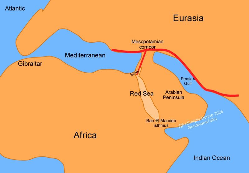 Water Bodies Prevented Migration