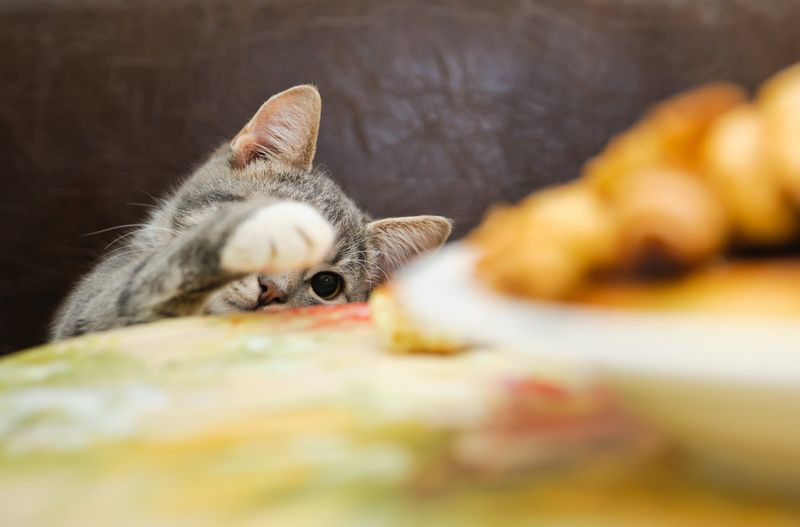 Stealing Food