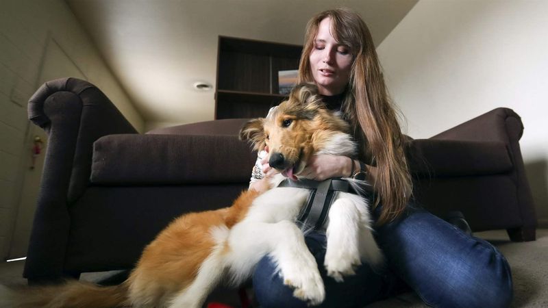 Illinois' Urban Animal Allies