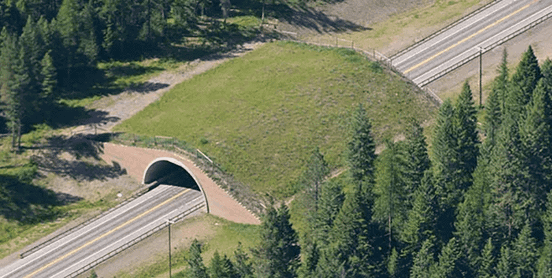 Tunnels Pay For Themselves