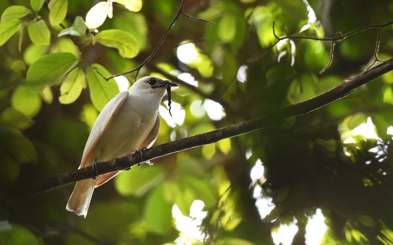 What This Says About Communication In Nature
