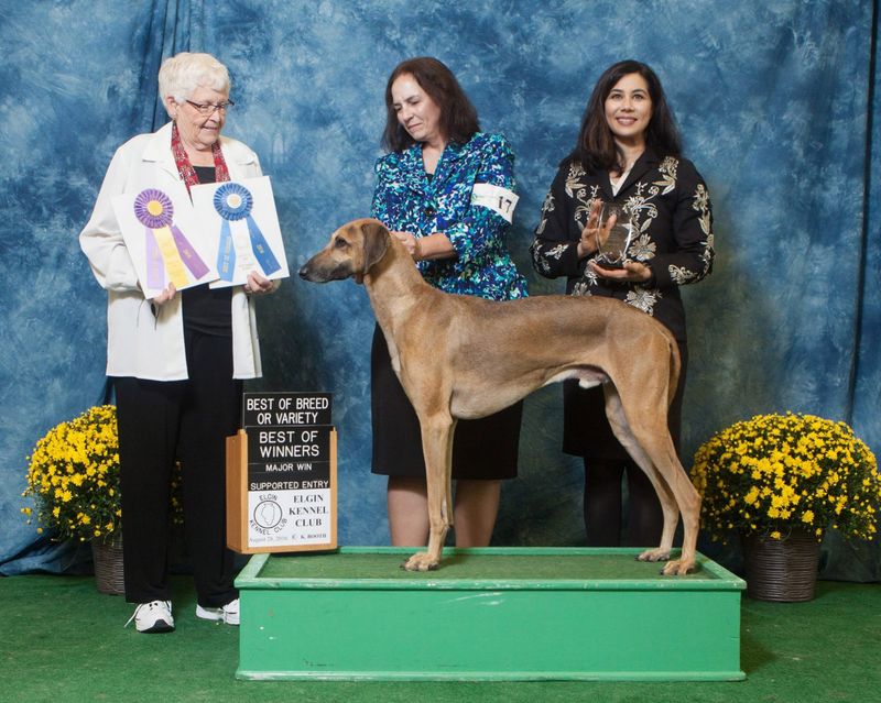 Recognition In The United States