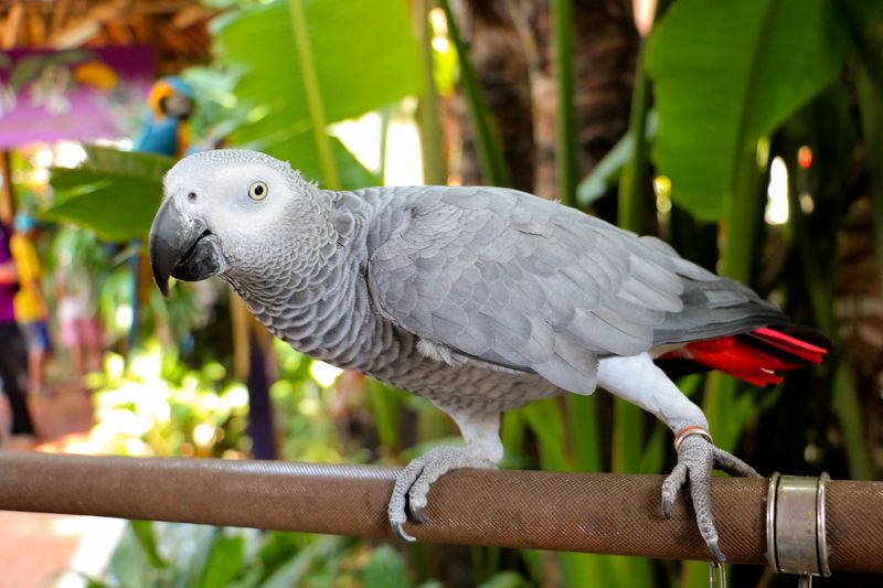 Species-Specific Care Makes Communication Flourish