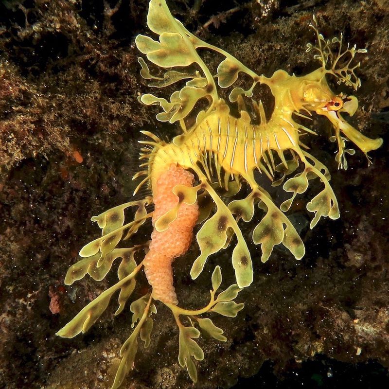Unique Fin Arrangements