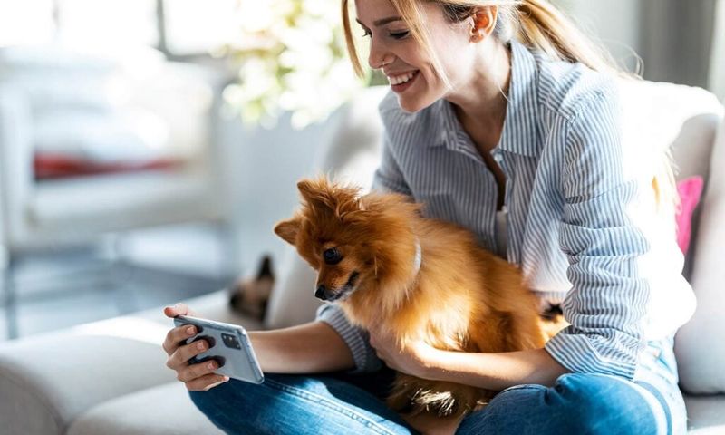 Finding A Trusted Pet Sitter