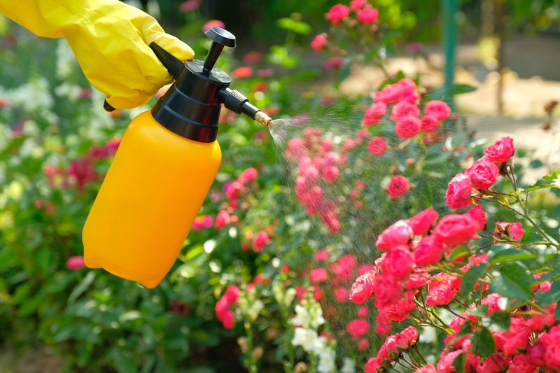 Avoid Pesticides