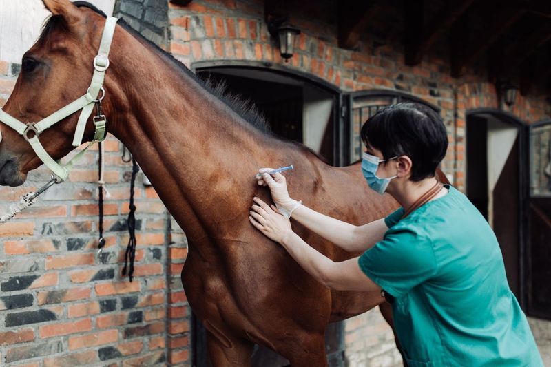 Follow A Strategic Vaccination Schedule