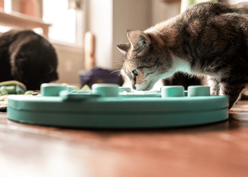 Offer Enrichment, Not Just Entertainment