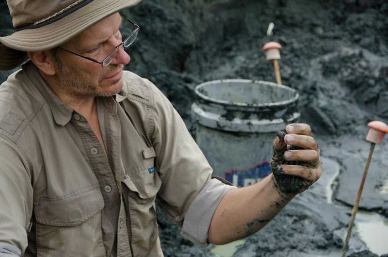 The Fossils Reveal Clues About The Earth's Last Mass Extinction