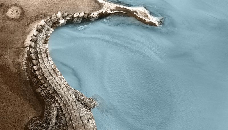 Sacred Waterways And The Crocodile's Role In Shaping The Land