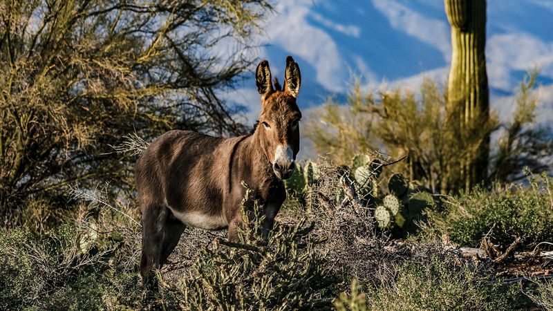 Protection Efforts Gaining Momentum