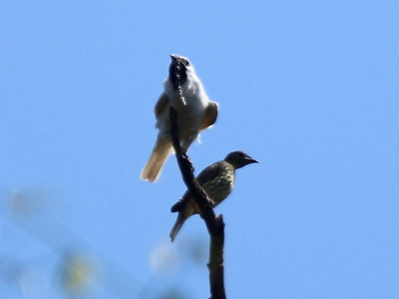 Surprising Population Bottlenecks Discovered