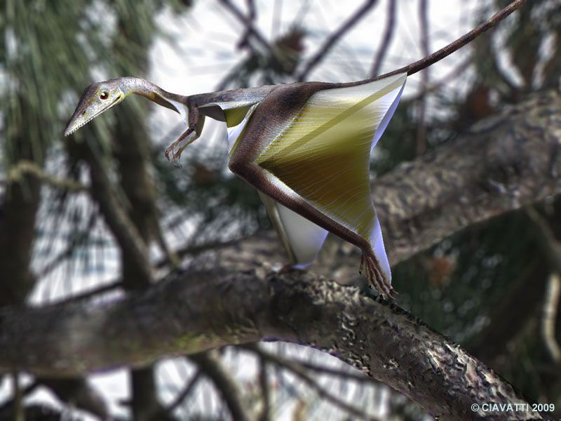 Sharovipteryx