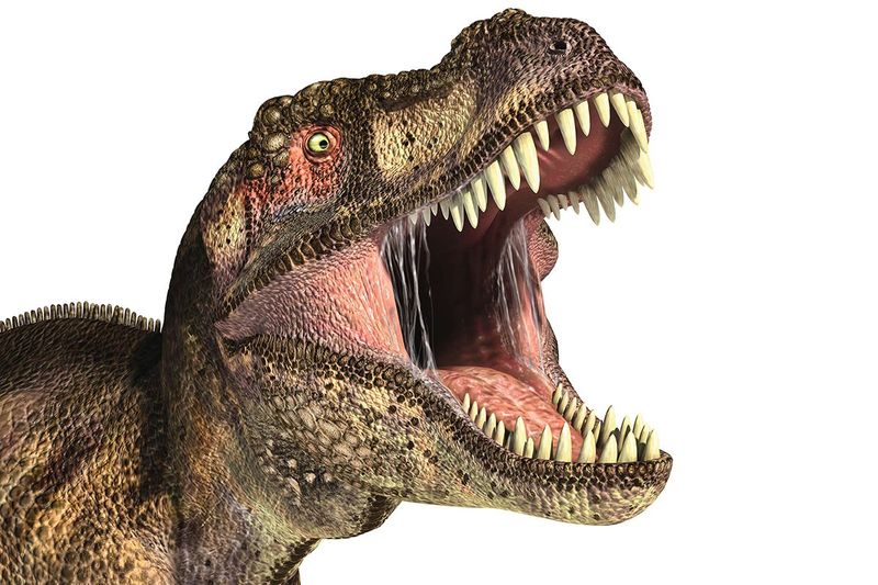 What Modern Science Says About Dinosaur Vocal Cords