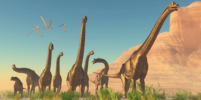 Pangaea's Formation Gave Dinosaurs Room To Roam