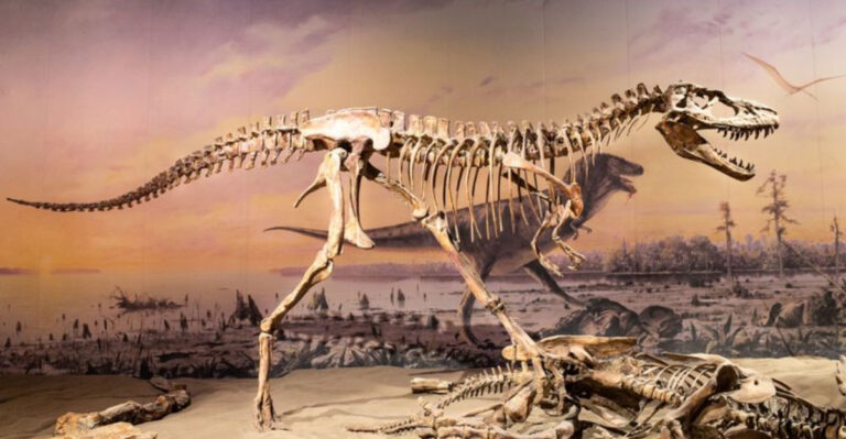 Dinosaurs Evolved As Continents Moved, Here’s How It Happened