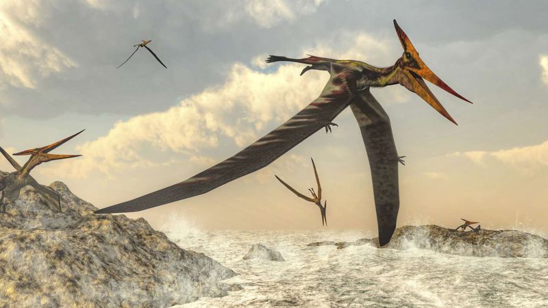 Pterosaurs Soaring Over Desert Canyons