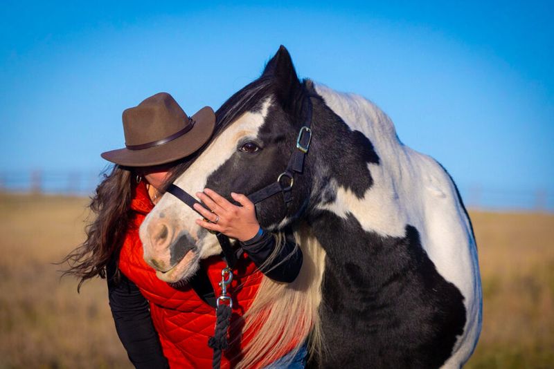 Horses