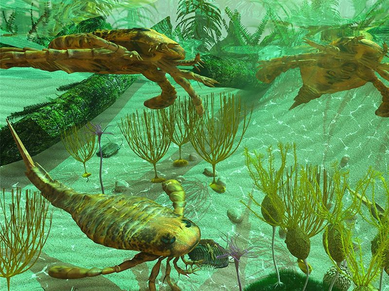 How This Discovery Pushes Back The Timeline Of Animal Life