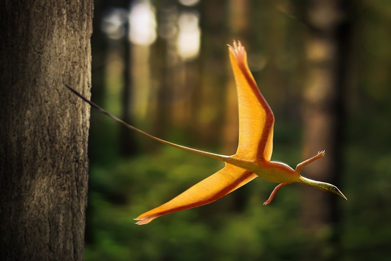 Sharovipteryx – The Upside-Down Flying Reptile