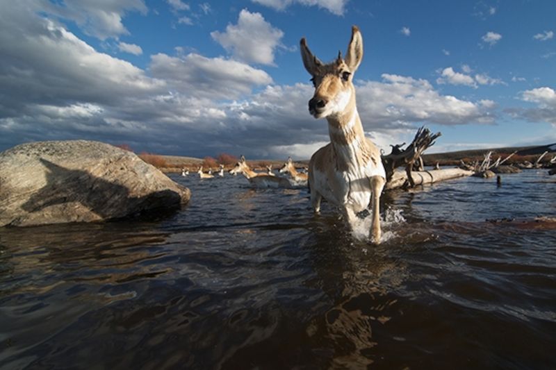 Rivers Can Be A Lifeline