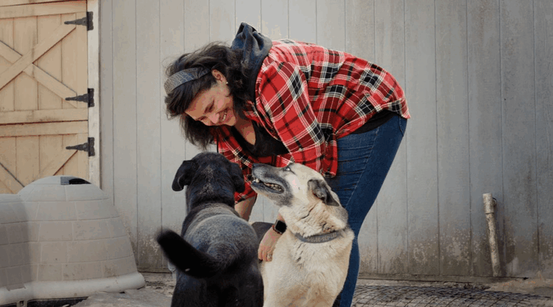 Perfect For The Commitment-Phobic Dog Lover