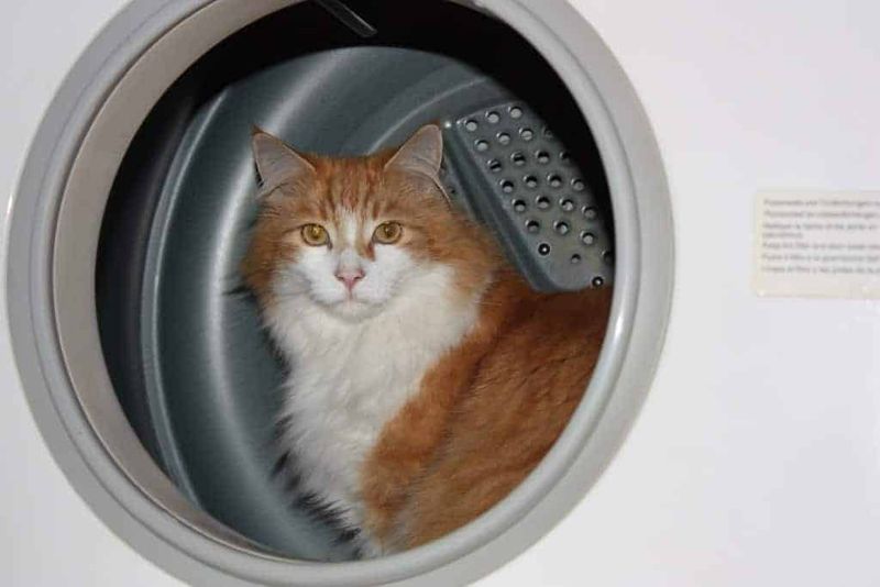 Open Washing Machines And Dryers