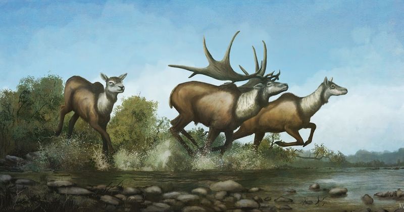 Seasonal Migration Influencers