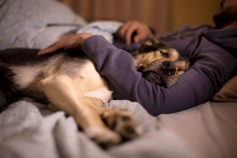 Sleeping Next To You