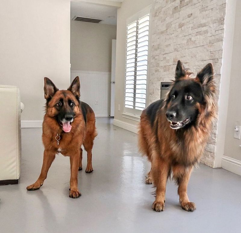 Socialization And Behavior