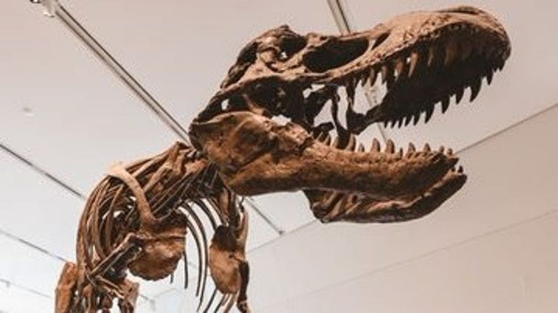 How These Fossil Discoveries Challenge Our Understanding Of Dinosaurs