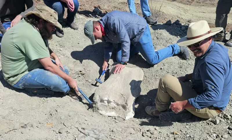 Big Bend's Prehistoric Treasures