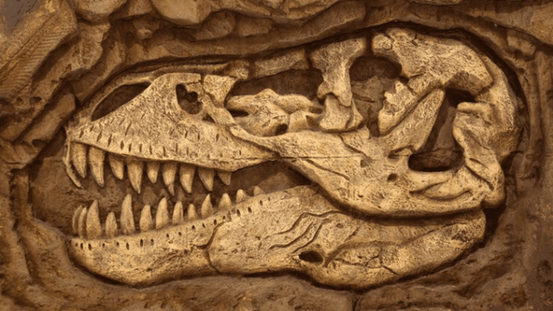 New Dating Techniques Support The Slow-Burial Theory